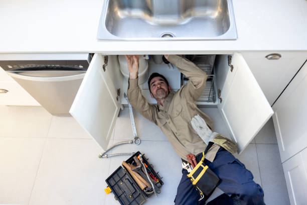 Best Local Plumber Services  in Elkhorn, WI